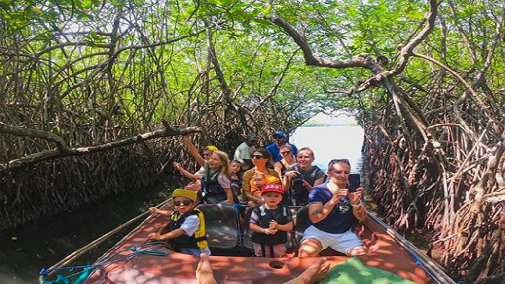 Lake Safari